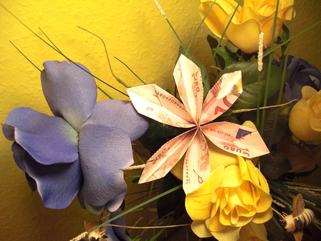 Geldblume - Schenken Sie ein paar Blüten